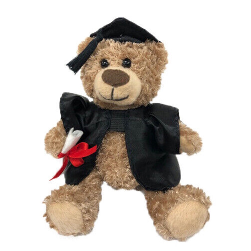 20cm Graduation Bear/Product Detail/Plush Toys