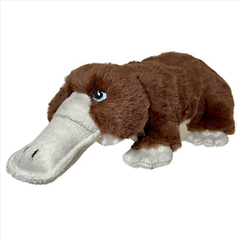 Eco Platypus 28cm/Product Detail/Plush Toys