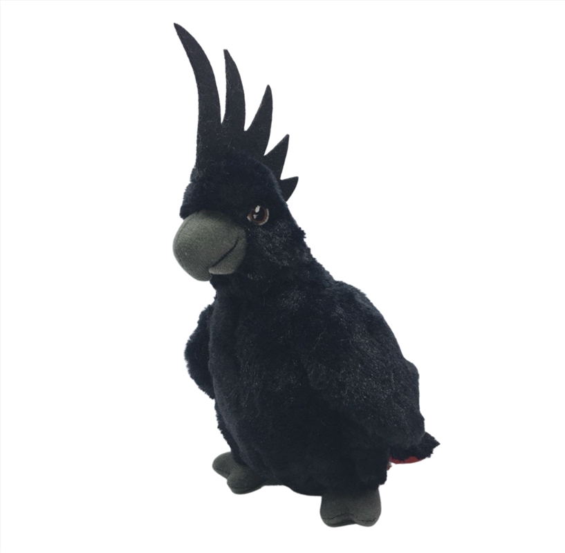 Eco Red Tailed Black Cockatoo 25cm/Product Detail/Plush Toys