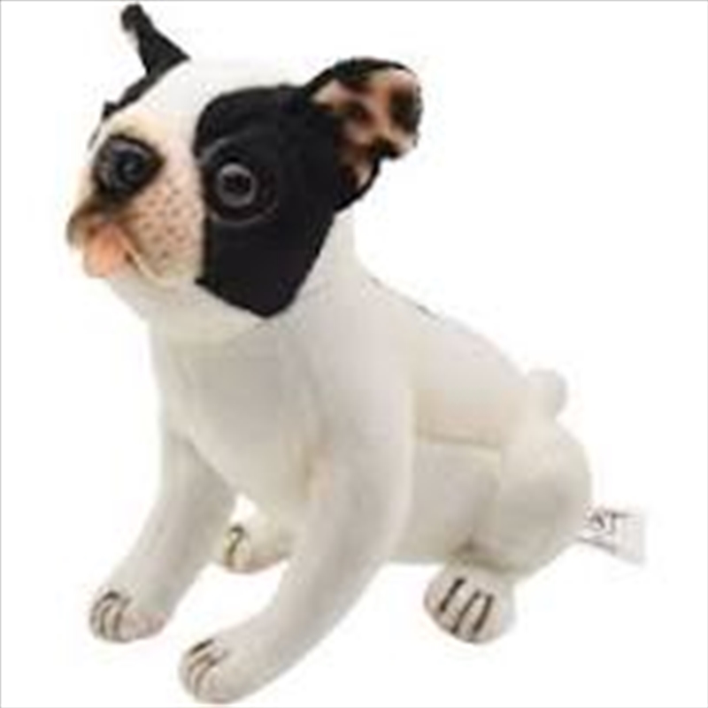 French Bulldog Tea Cup 15cm/Product Detail/Plush Toys