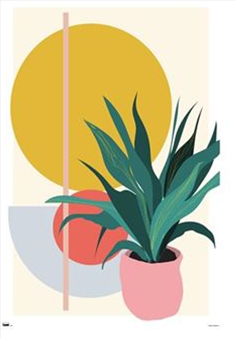 Abstract Potted Plant/Product Detail/Posters & Prints