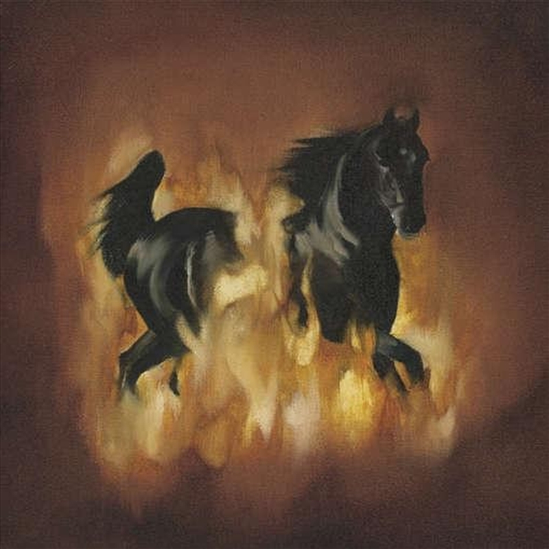 Besnard Lakes Are The Dark Horse, The (Vinyl)/Product Detail/Alternative