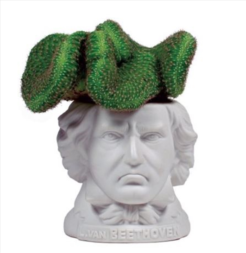 Unemployed Philosophers Guild - Ludwig van Beethoven Planter/Product Detail/Homewares