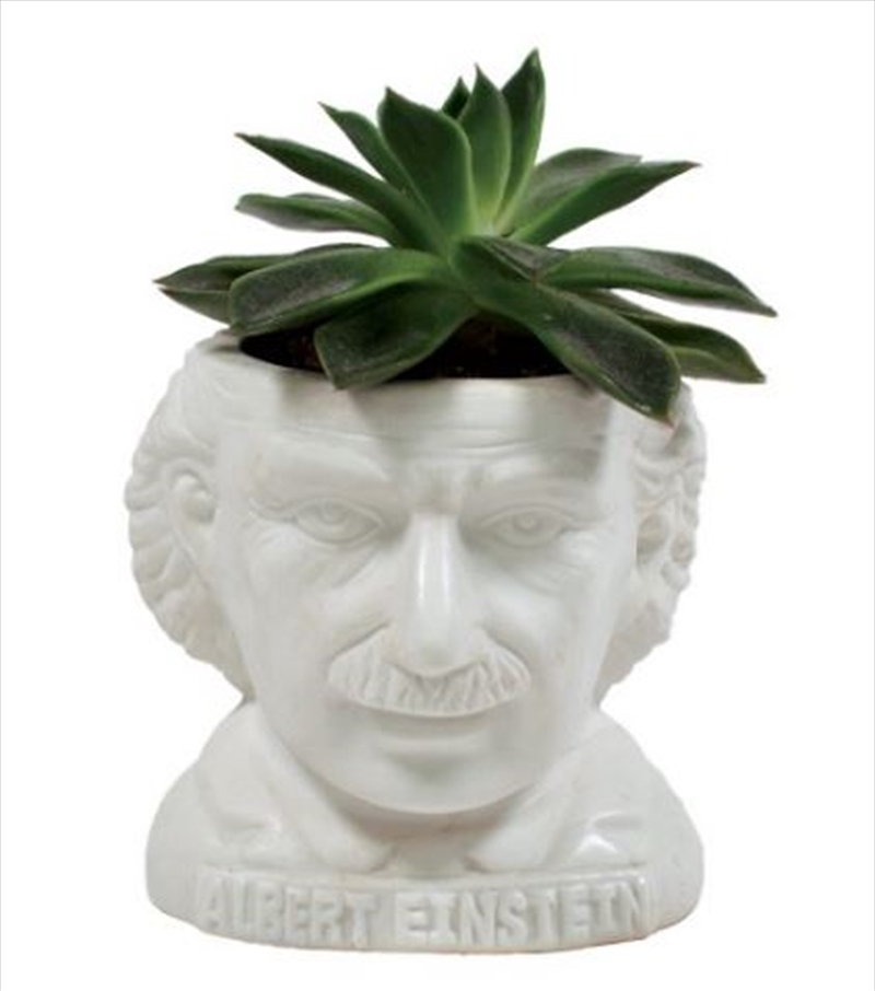 Unemployed Philosophers Guild - Albert Einstein Planter/Product Detail/Homewares