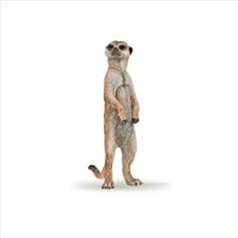 Papo - Standing meerkat Figurine/Product Detail/Figurines