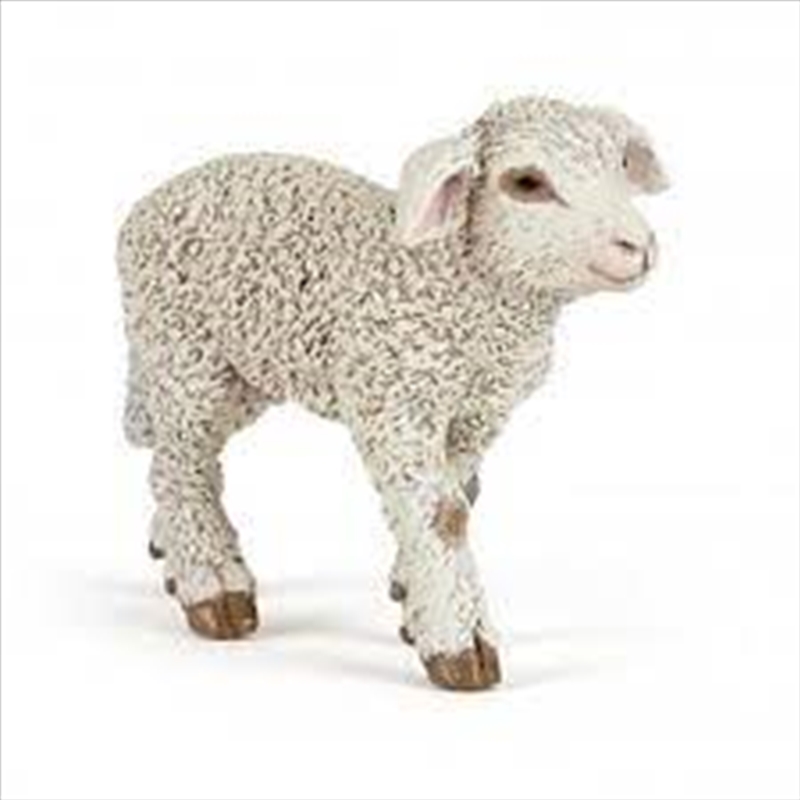 Papo - Merino lamb Figurine/Product Detail/Figurines