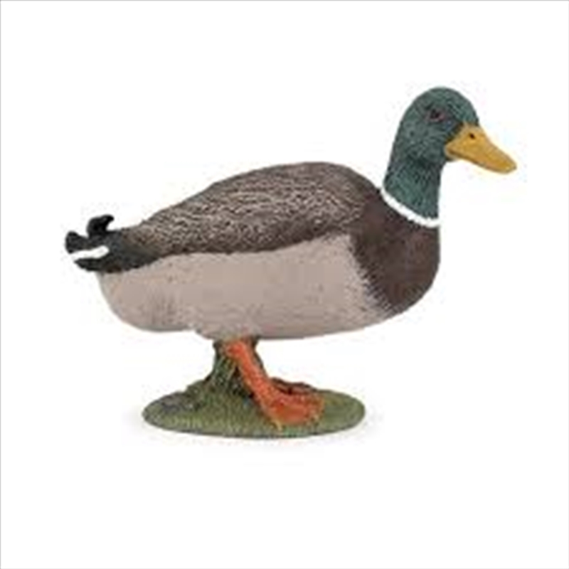 Papo - Mallard duck Figurine/Product Detail/Figurines