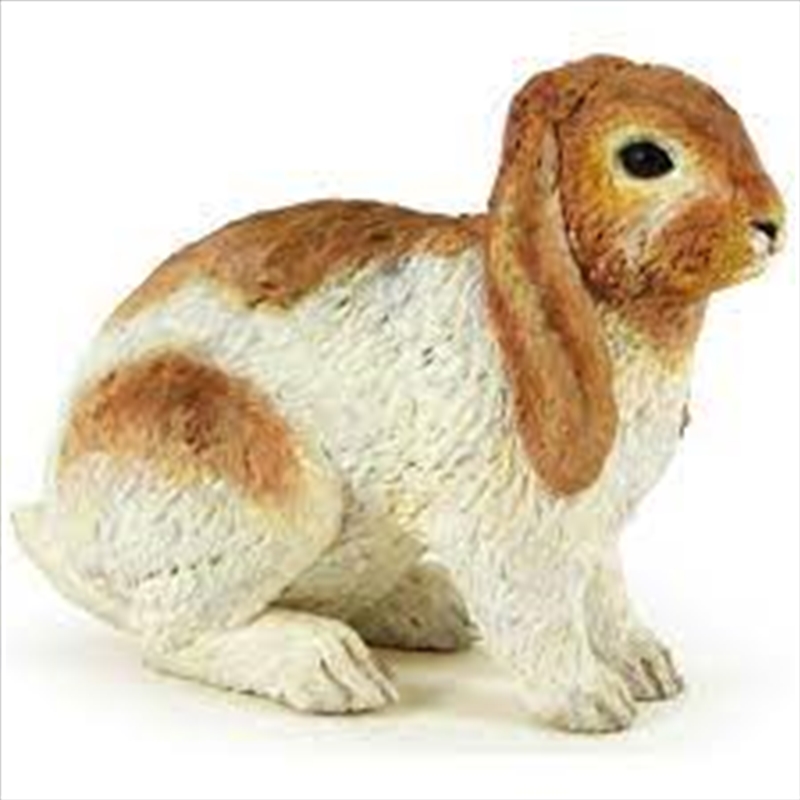 Papo - Lop rabbit Figurine/Product Detail/Figurines