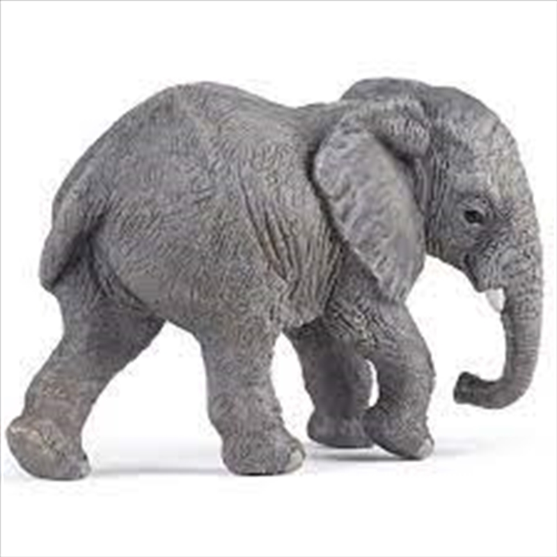 Papo - Young African elephant Figurine/Product Detail/Figurines