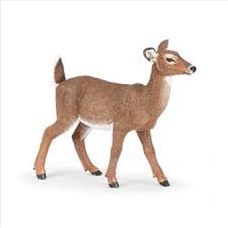 Papo - White-tailed doe Figurine/Product Detail/Figurines