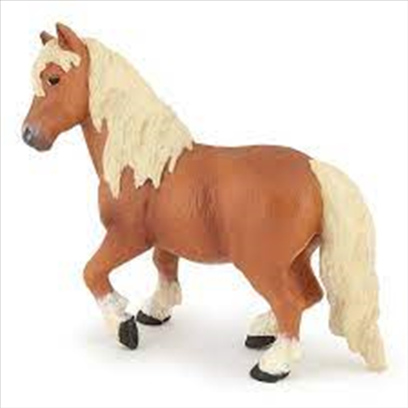 Papo - Shetland pony Figurine/Product Detail/Figurines