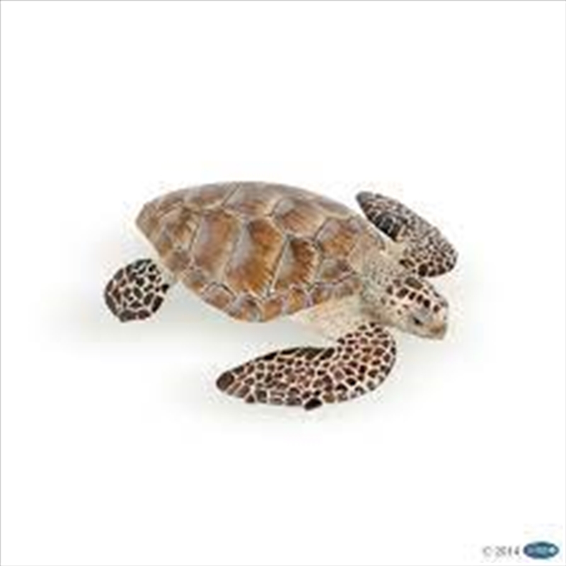 Papo - Loggerhead turtle Figurine/Product Detail/Figurines