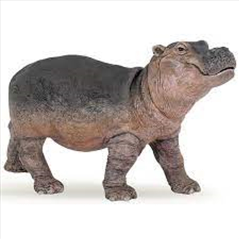 Papo - Hippopotamus calf Figurine/Product Detail/Figurines