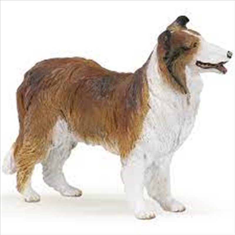 Papo - Collie Figurine/Product Detail/Figurines