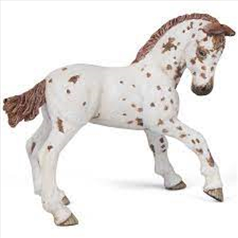 Papo - Brown appaloosa foal Figurine/Product Detail/Figurines