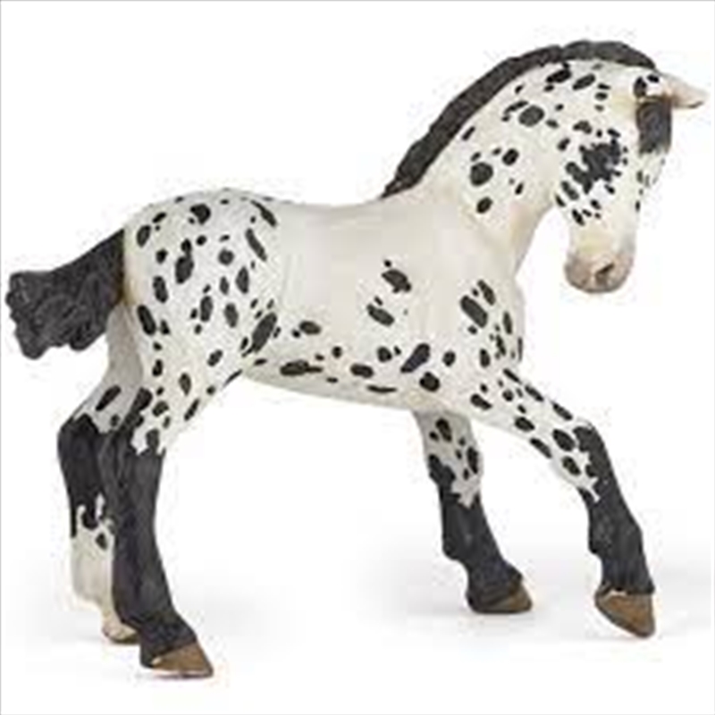 Papo - Black appaloosa foal Figurine/Product Detail/Figurines