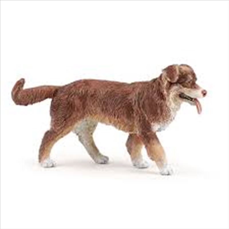 Papo - Australian shepherd Figurine/Product Detail/Figurines