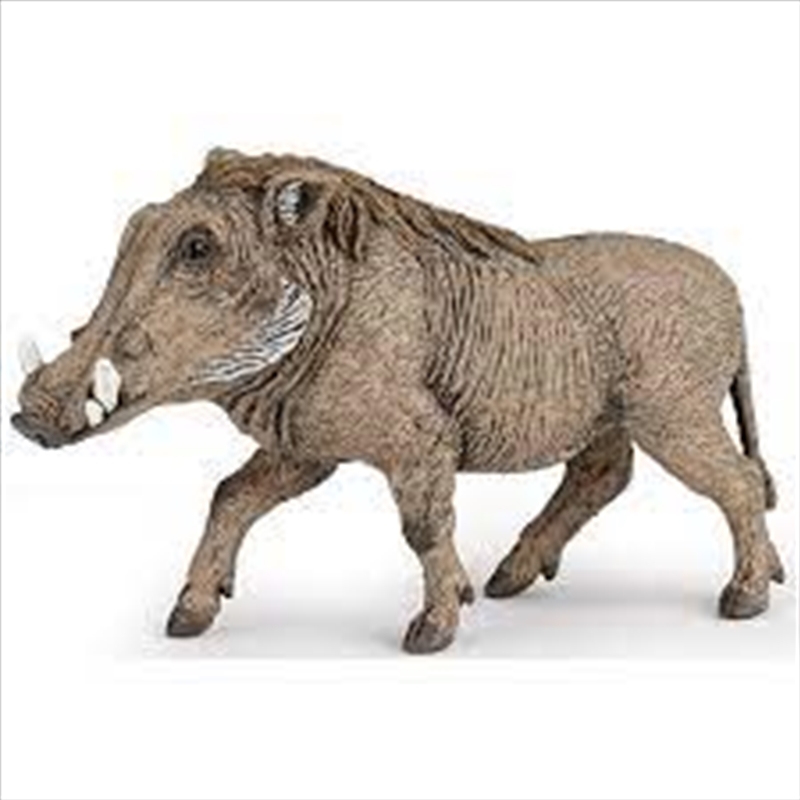 Papo - Warthog Figurine/Product Detail/Figurines