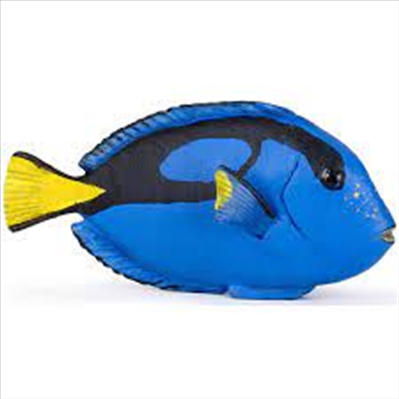 Papo - Surgeonfish Figurine/Product Detail/Figurines