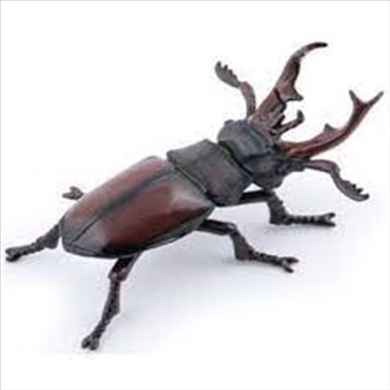 Papo - Stag beetle Figurine/Product Detail/Figurines