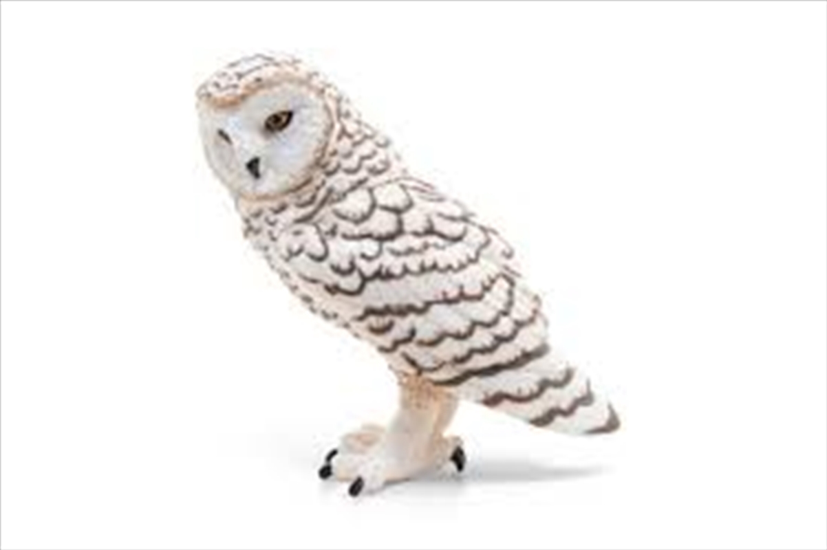 Papo - Snowy owl Figurine/Product Detail/Figurines