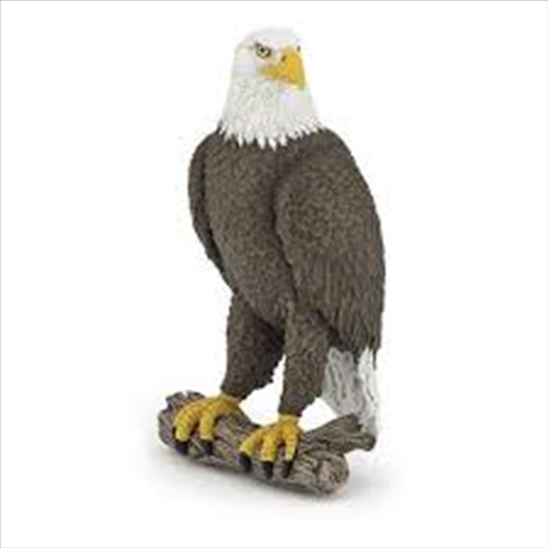 Papo - Sea eagle Figurine/Product Detail/Figurines