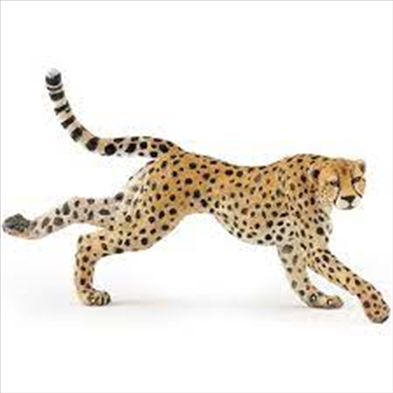 Papo - Running cheetah Figurine/Product Detail/Figurines