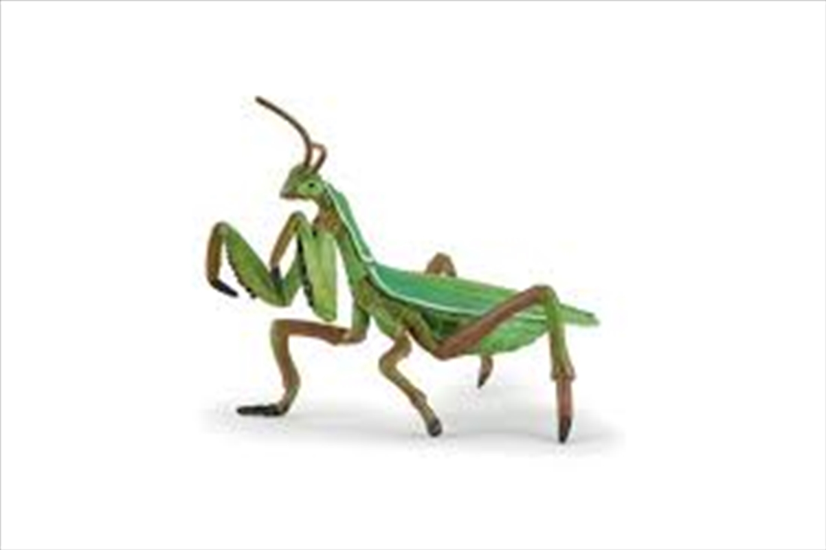 Papo - Praying mantis Figurine/Product Detail/Figurines