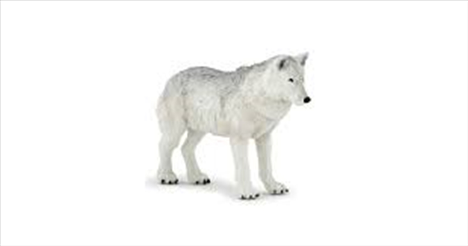 Papo - Polar wolf Figurine/Product Detail/Figurines