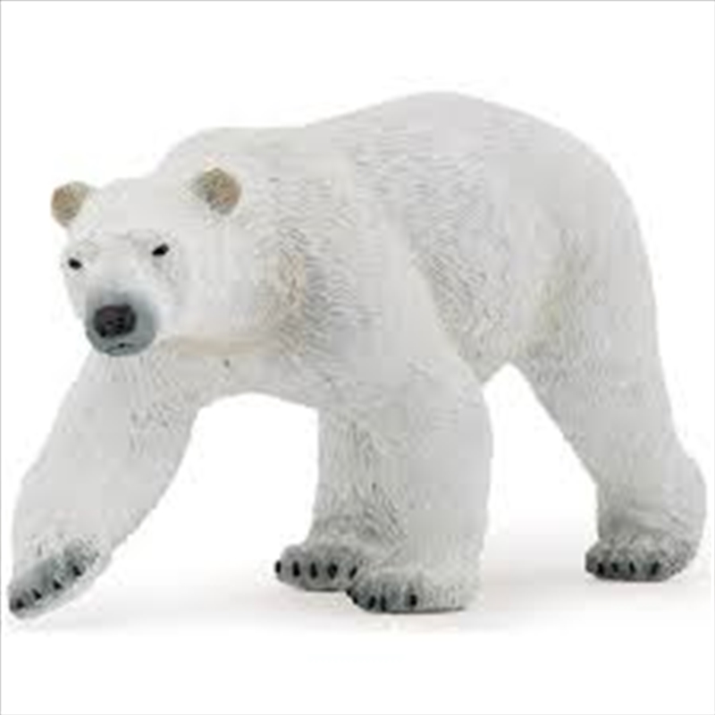 Papo - Polar bear Figurine/Product Detail/Figurines