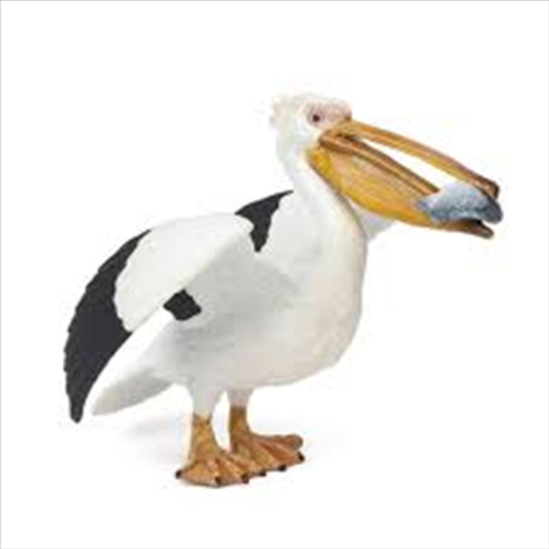 Papo - Pelican Figurine/Product Detail/Figurines