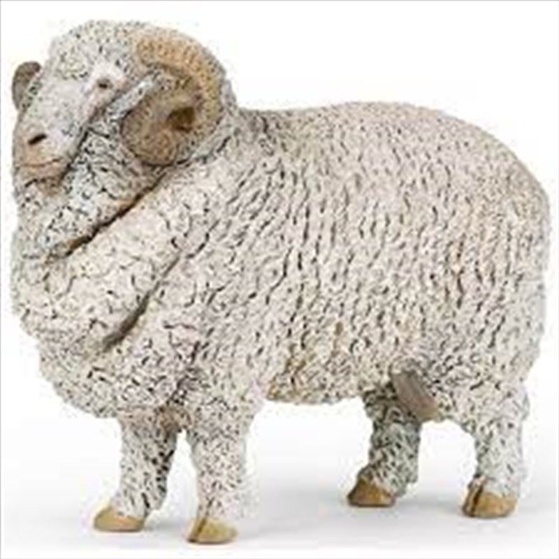 Papo - Merino sheep Figurine/Product Detail/Figurines