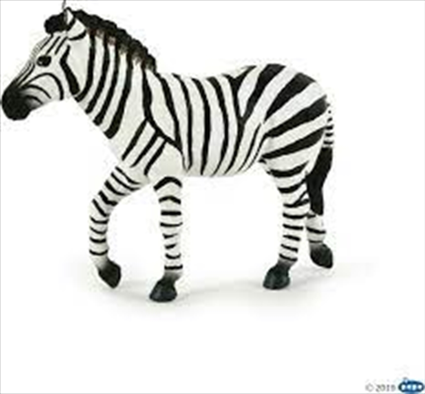 Papo - Male zebra Figurine/Product Detail/Figurines