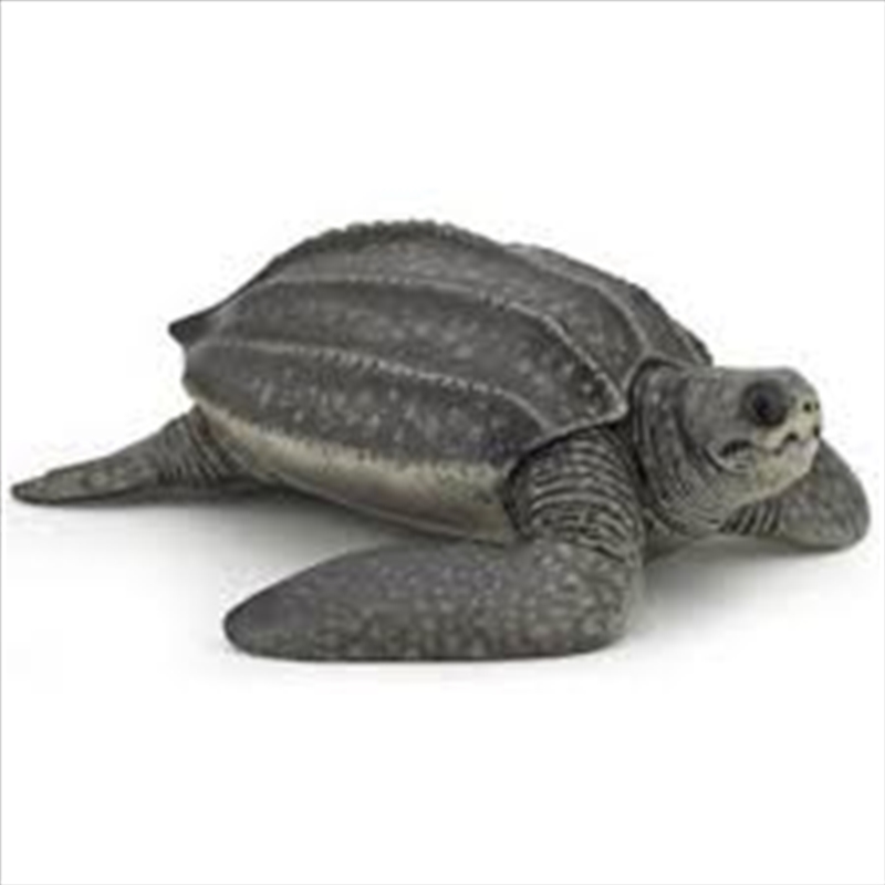 Buy Papo - Leatherback turtle Figurine Online | Sanity