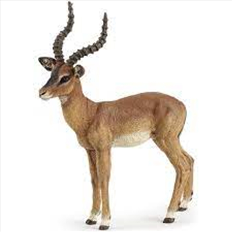 Papo - Impala Figurine/Product Detail/Figurines