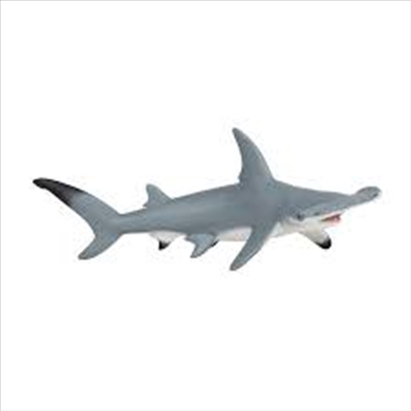 Papo - Hammerhead shark Figurine/Product Detail/Figurines