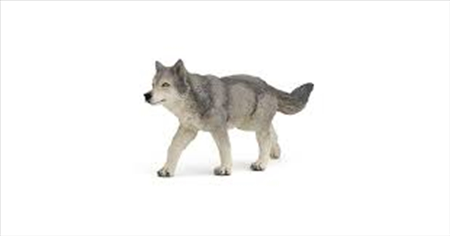 Papo - Grey wolf Figurine/Product Detail/Figurines