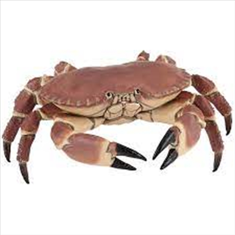 Papo - Crab Figurine/Product Detail/Figurines