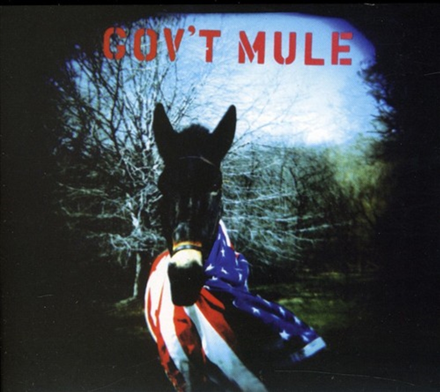 Gov'T Mule/Product Detail/Rock/Pop