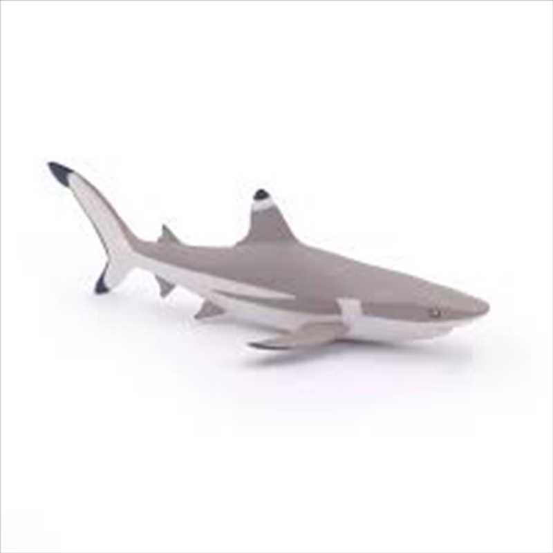 Papo - Blacktip reef shark Figurine/Product Detail/Figurines