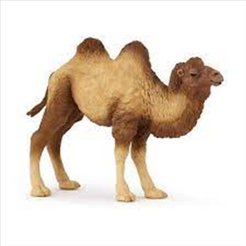 Papo - Bactrian camel Figurine/Product Detail/Figurines