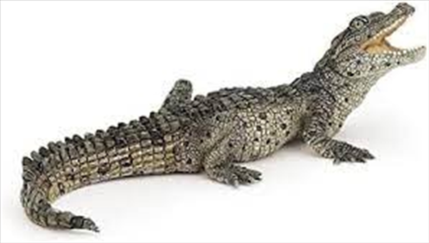 Papo - Baby crocodile Figurine/Product Detail/Figurines