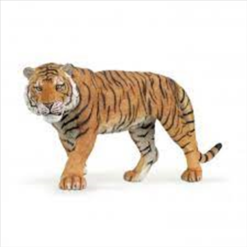 Papo - Tiger  Figurine/Product Detail/Figurines