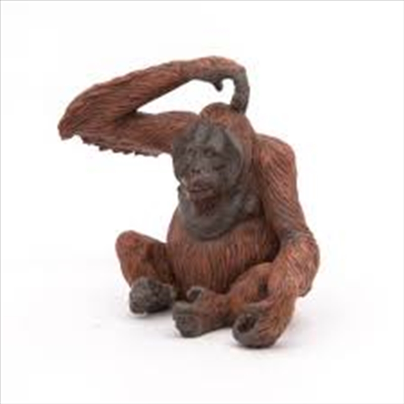 Papo - Orangutan Figurine/Product Detail/Figurines