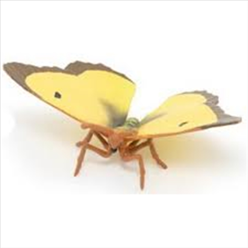 Papo - Clouded yellow butterfly Figurine/Product Detail/Figurines