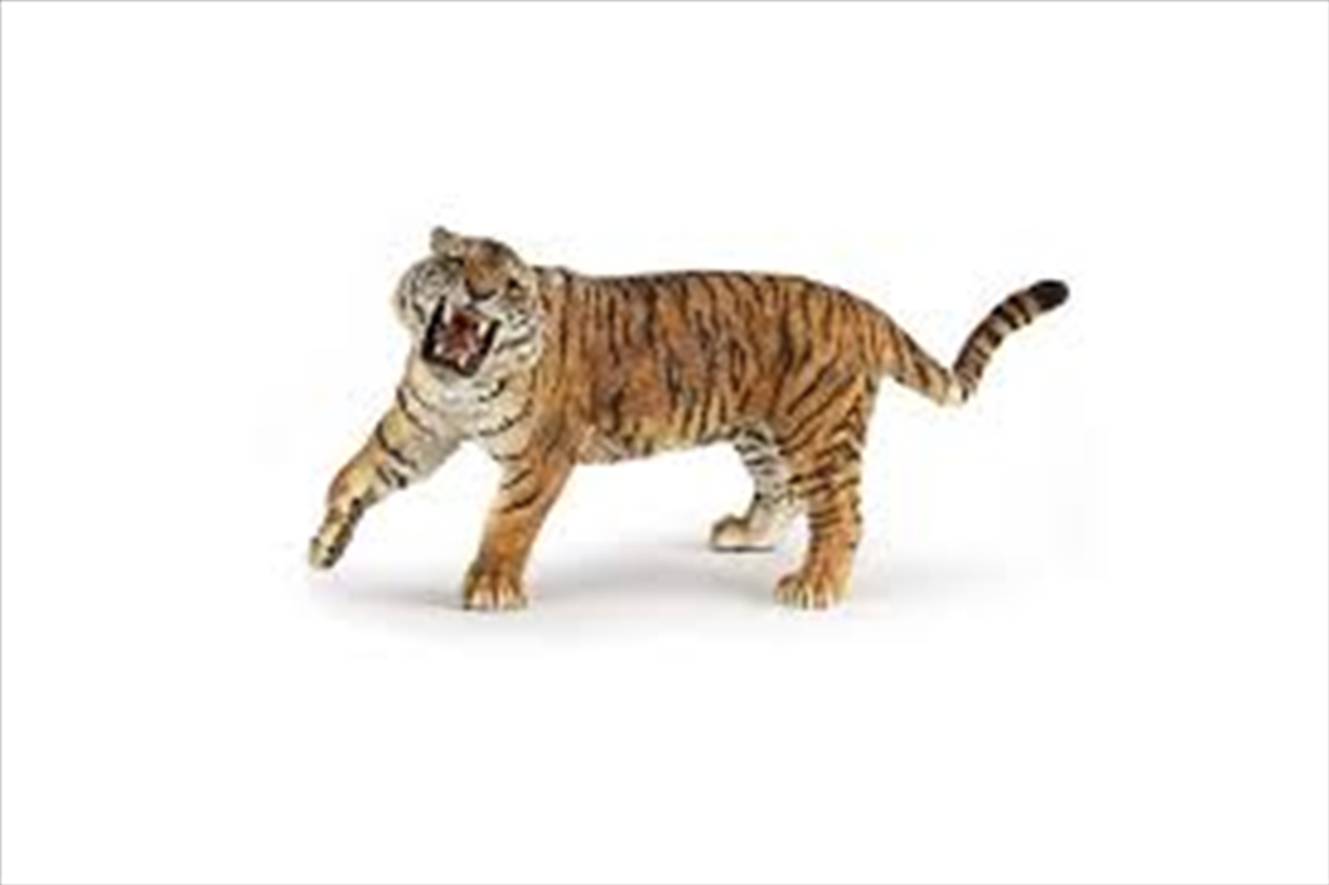 Papo - Roaring tiger  Figurine/Product Detail/Figurines