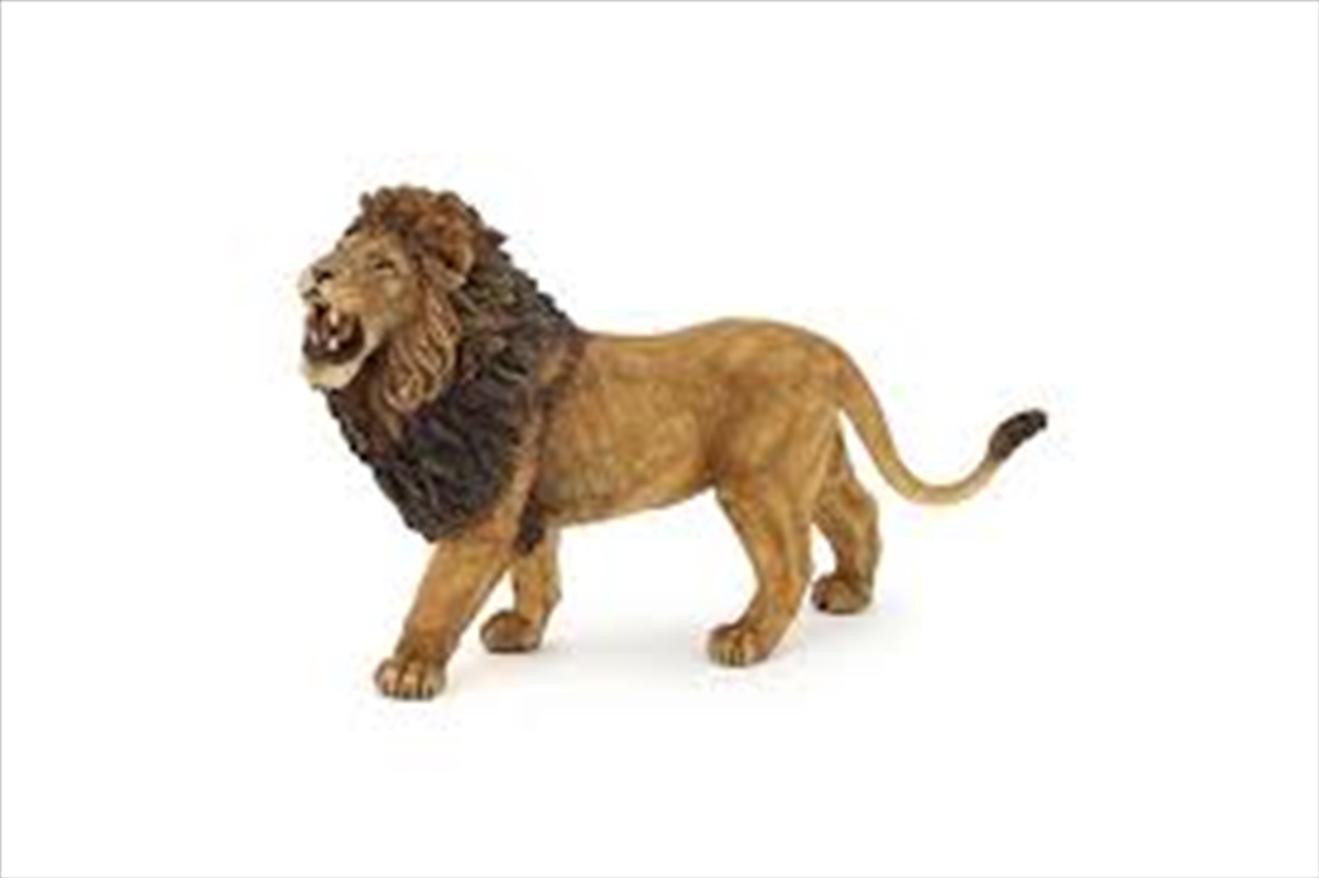 Buy Papo - Roaring lion Figurine Online | Sanity