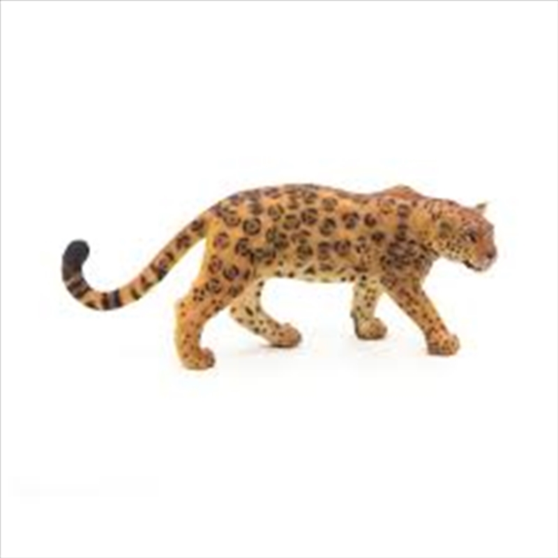 Papo - Jaguar Figurine/Product Detail/Figurines