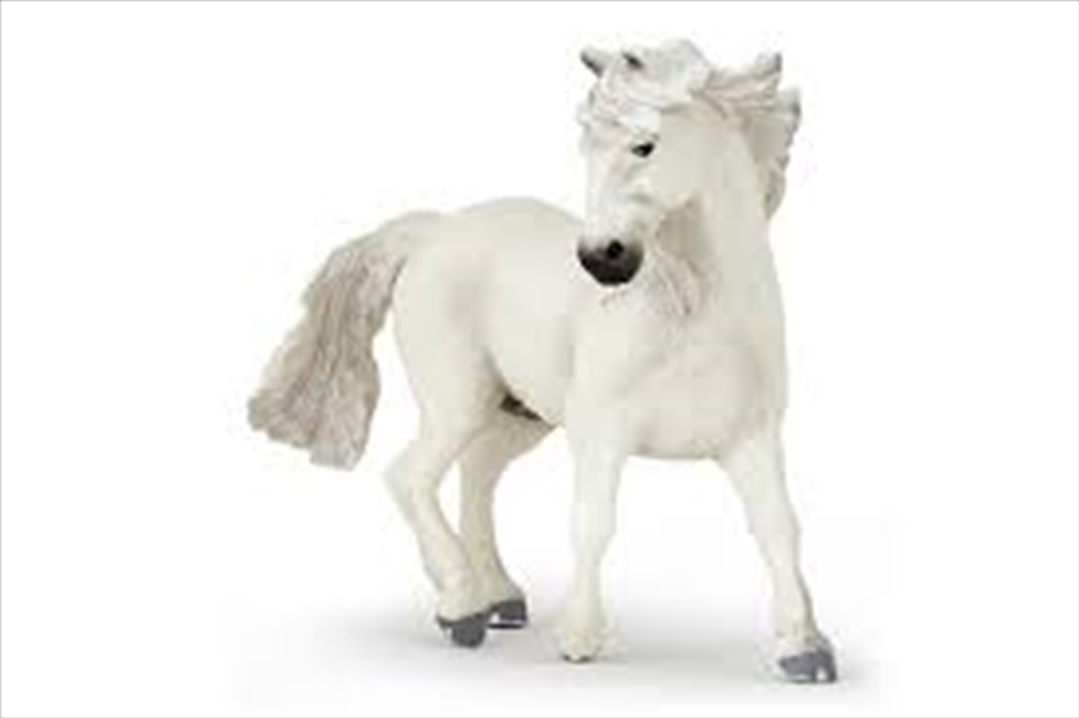 Papo - Camargue horse Figurine/Product Detail/Figurines