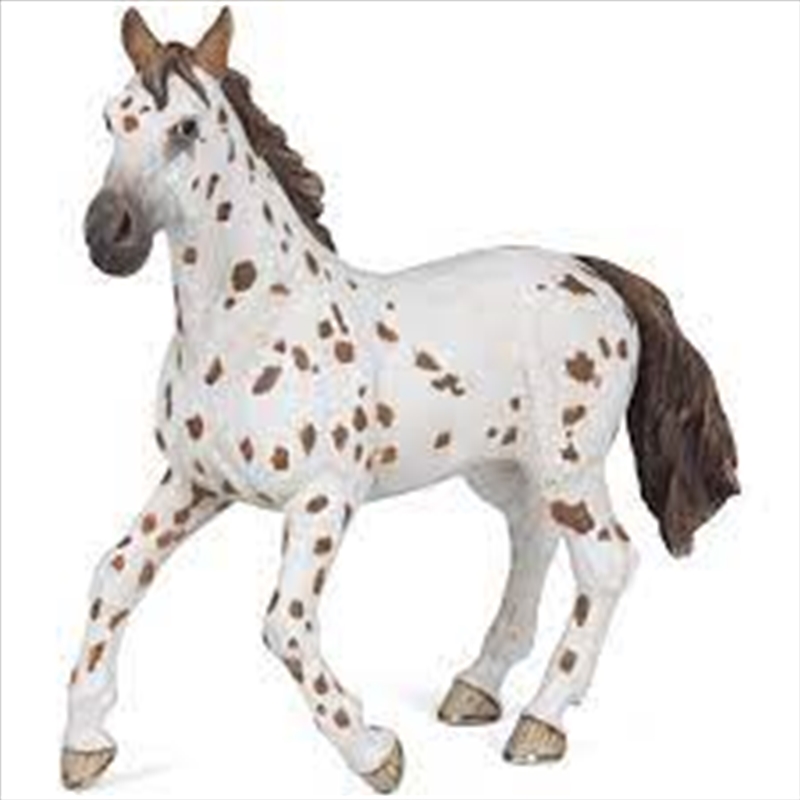 Papo - Brown appaloosa mare Figurine/Product Detail/Figurines